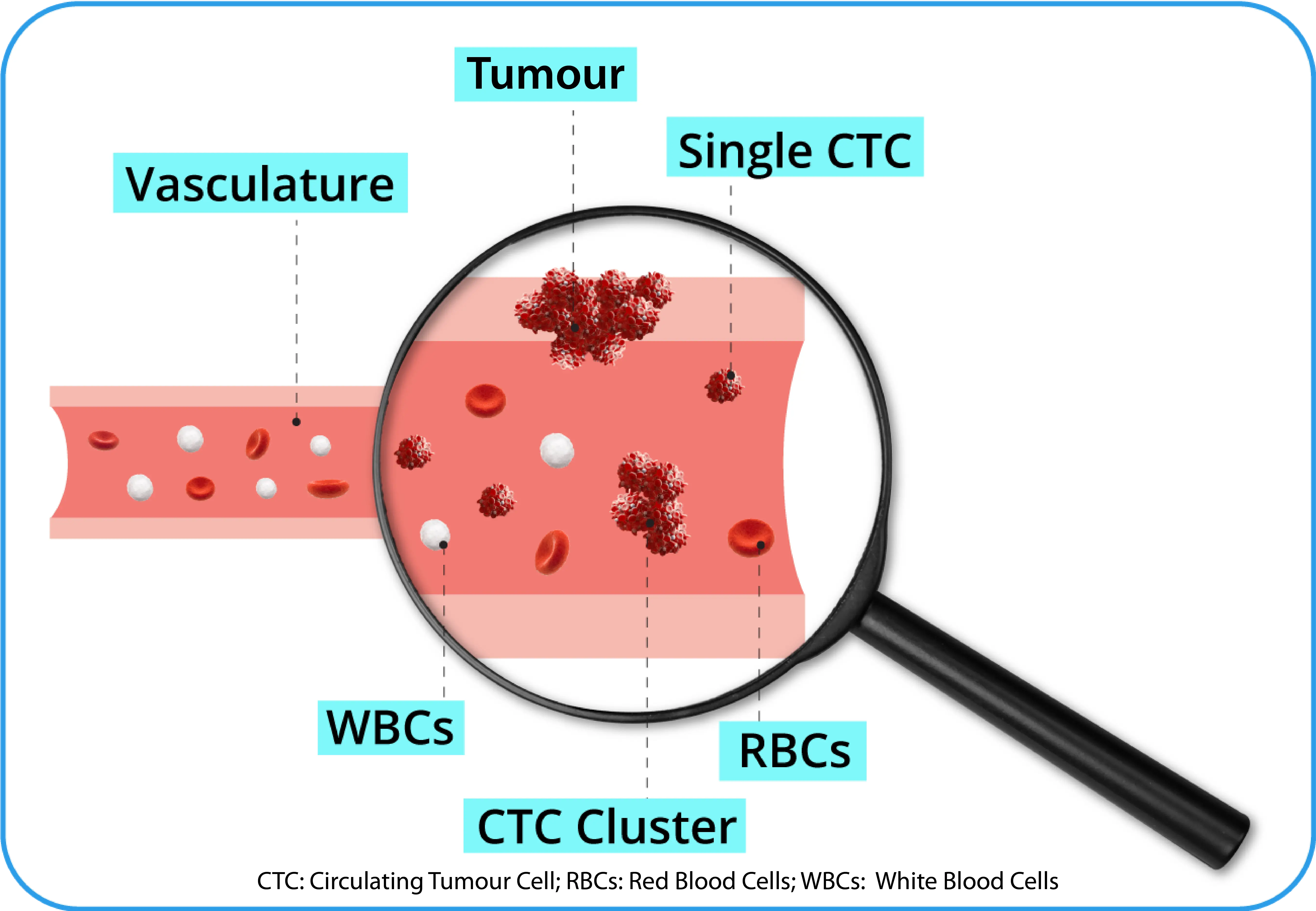 scientific-approach-for-screening